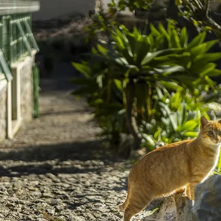 Marmoris Palace Guest house Sintra