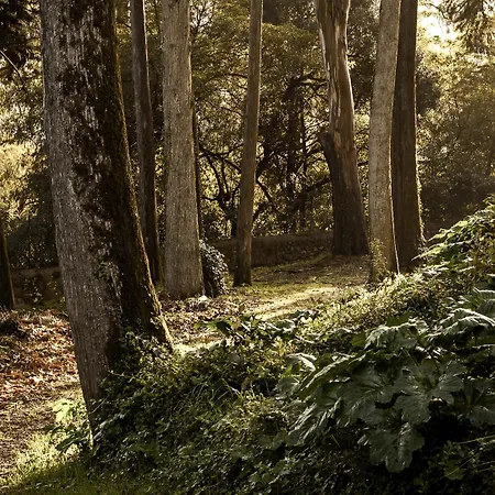 Marmoris Palace Sintra