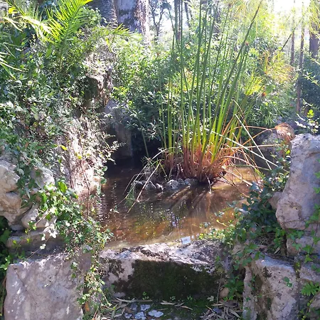 Marmoris Palace Guest house 4*