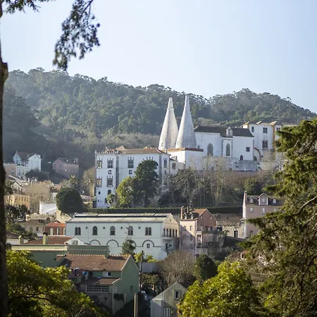 마르모리스 팰리스 4*