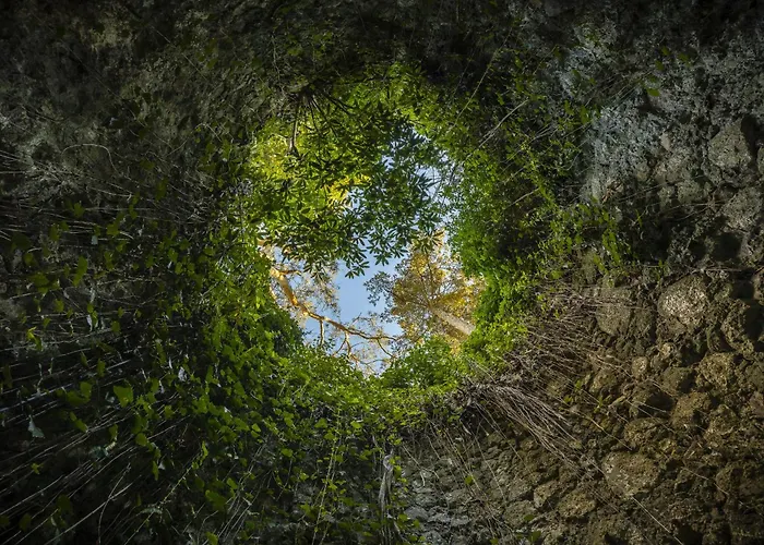 Casa de hóspedes Marmoris Palace 4*