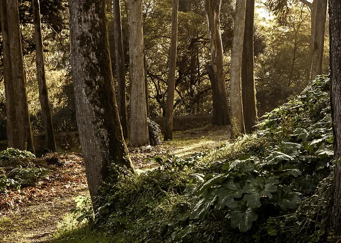 Marmoris Palace Sintra