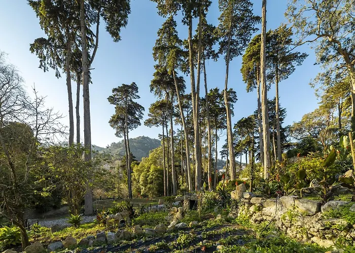 Marmoris Palace Sintra